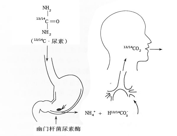 2018011809534753.jpg