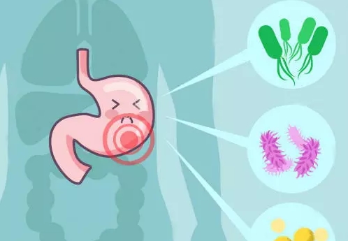 幽门螺杆菌.jpg