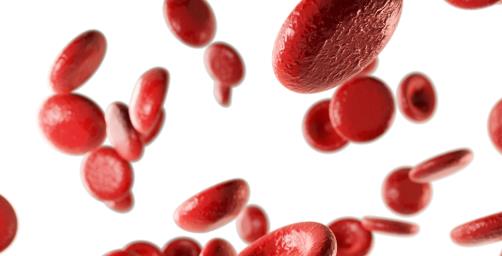 1614930376426444.jpg 红细胞.jpg