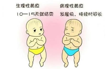 黄疸.jpg